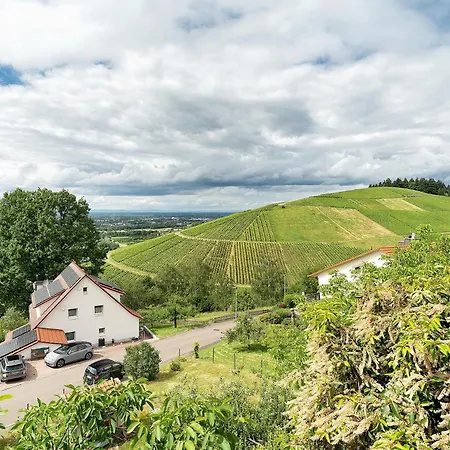 Feriehus Apartmenthaus Baden-chalet