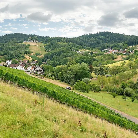 Apartmenthaus Baden-chalet Bühl